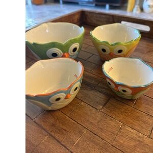 Pier Ine Owl Measuring Cups Set of 4 Ceramic Kitchen Decor Cute Colorful Nesting